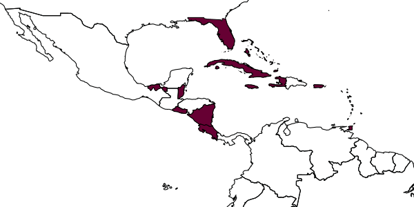 map of Neocladia myersi     (Waterston, 1928)